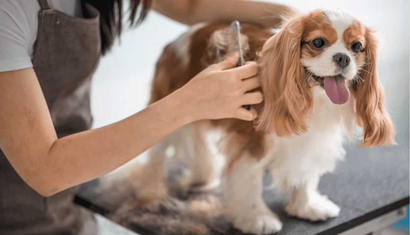 Nail Salons