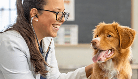 Veterinary
