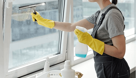 Window Cleaning