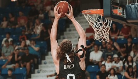 Basket
